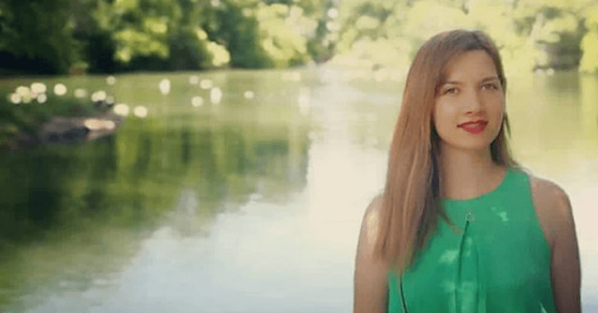 Samira Bashiri gallery