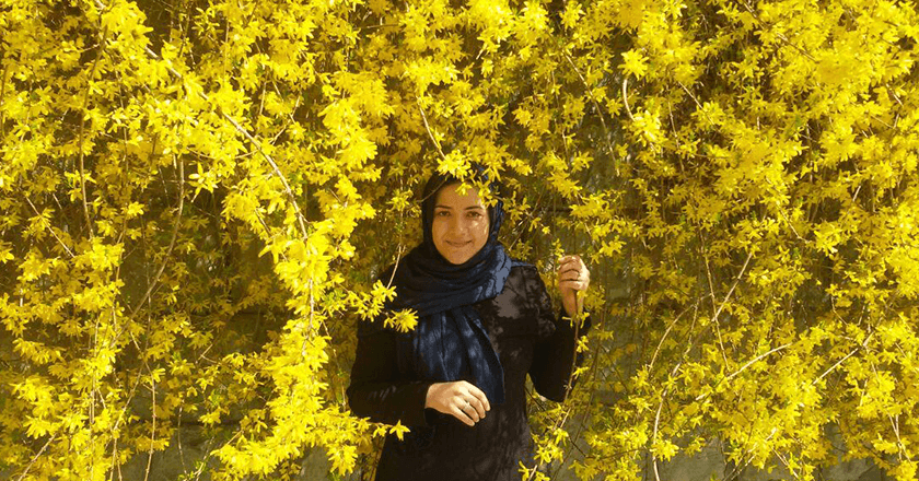 Elnaz Nabiyi gallery