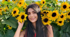 Delaram Dadashnejad - sunflowers